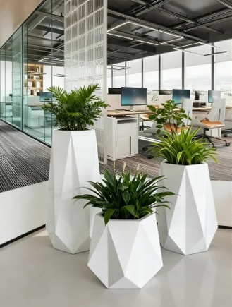 镇海花木租赁品种怎么修复？常见问题解决